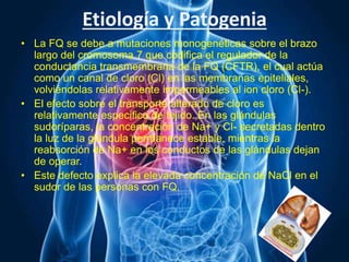 Etiología y Patogenia
• La FQ se debe a mutaciones monogenéticas sobre el brazo
largo del cromosoma 7 que codifica el regulador de la
conductancia transmembrana de la FQ (CFTR), el cual actúa
como un canal de cloro (Cl) en las membranas epiteliales,
volviéndolas relativamente impermeables al ion cloro (Cl-).
• El efecto sobre el transporte alterado de cloro es
relativamente especifico de tejido. En las glándulas
sudoríparas, la concentración de Na+ y Cl- secretadas dentro
la luz de la glándula permanece estable, mientras la
reabsorción de Na+ en los conductos de las glándulas dejan
de operar.
• Este defecto explica la elevada concentración de NaCl en el
sudor de las personas con FQ.
 