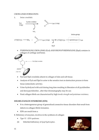 CROSS-LINKS FORMATION:
1. Imino crosslinks:
Lys
5 Hyl
Lysine oxidase
NH3
C
O
H
Lys ( 5 Hyl)
(5 Hyl) Lys NH2 + C
O
H
Lys ( 5 Hyl) (5 Hyl) Lys N CH Lys
H2O
imino-group
• PYRIDINOLINE CROS-LINKS (Pyd) AND DEOXYPYRIDINOLINE (Dpd) contains in
collagen of cartilage and bone).
N
HO
Pyd (Dpd) crosslinks
(H)
( Dpd ) Pyd
• Pyd and Dpd crosslinks absent in collagen of skin and soft tissue.
• Analysis of Pyd and Dpd in urine is the sensitive test on destruction process in bone
tissue (osteoclastic activity).
• Urine hydrolyzed with acid during long time resulting in liberation of all pyridinoline
and deoxypyridinoline , after that chromatography may be use.
• Final collagen fibrils are characterized by high tensile strength and proteinase resistance.
EHLERS-DANLOS SYNDROME (EDS)
• It is a heterogeneous group of generalized connective tissue disorders that result from
defects in collagen fibrils formation.
• EDS can result from a:
1. Deficiency of enzymes, involves in the synthesis of collagen
• Type VI EDS syndrome:
(ii) Inherited deficiency of lysyl hydroxylase.
11
 