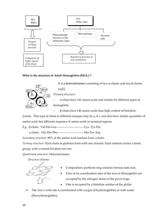 10%
Other sites
Dopaminergic
neurons in the
substantia nigra
Macrophages
Oxygen-
carrying
function
Regulatory function of
iron metabolism
90%
RBCs
Component of
buffer system
of the blood
Alveolar
cells
What is the structure of Adult Hemoglobin (HbA1) ?
It is a heterotetramer consisting of two α-chains and two β-chains
(α2β2)
Primary structure:
- α-chain have 141 amino acids and similar for different types of
hemoglobin
- β-chain have 146 amino acids (has high content of histidine,
lysine). This type of chain in different isotypes may be γ, δ, ε and also have similar quantities of
amino acids but different sequence of amino acids in terminal regions.
E.g. β-chain: Val-His-Leu-----------------------------Lys- Tyr-His
γ-chain: Gly-His-Phe----------------------------His-Tyr-Arg
Secondary structure: 80% of the amino acid residues form α-helix.
Tertiary structure: Each chain in globular form with one domain. Each subunit carries a heme
group, with a central bivalent iron ion.
Quaternary structure: Heterotetramer.
Structure of heme:
• Composition: porhyrin ring contains ferrous state iron.
• Four of six coordination sites of the iron in Hemoglobin are
occupied by the nitrogen atoms of the pyrol rings.
• One is occupied by a histidine residue of the globin
• The iron’s sixth site is coordinated with oxygen (Oxyhemoglobin) or with water
(Deoxyhemoglobin).
20
 