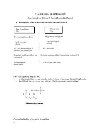 T- AND R-FORM OF HEMOGLOBIN
Oxy-Hemoglobin (R-form) & Deoxy-Hemoglobin (T-form)
• Hemoglobin exists in two different conformations known as:
Taut (tense) form
HbT
Relaxed form
HbR
Has high oxygen
affinity
Has low oxygen
affinity
Add oxygen from lungs
Deoxygenated hemoglobin Oxygenated hemoglobin
BPG can bind and helps in
retaining the salt bridges
Beta-chain histidine residues are
protonated
Release oxygen
ito the tissue
Histidine residues of beta-chain release protons (H+
)
BPG is released
Fetal Hemoglobin (HbF) and BPG
• A fetus must obtain oxygen from the mother's blood by exchange through the placenta.
• Fetal blood, therefore, must have a higher O2 affinity than the mother's blood.
Cooperative binding of oxygen by hemoglobin
23
 