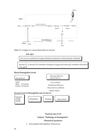 2CO2 + H2O
carbonic anhydrase
2H2CO3 + Hb (O2)4 Hb2H+
+ 2HCO3
-
HCO3
-
Cl-
4O2
Tissue
R-form T-form
blood
2CO2
interstitial space
2CO2
4O2
Note: Cl-
is higher in venous blood than in arterial
Bohr effect
For every two molecules of oxygen utilized one molecule of carbon dioxide is liberated.
Increase H+
or increase CO2 stimulates releasing of oxygen and increase pO2 stimulates releasing of
CO2 and H+
Blood Hemoglobin Levels
Normal level
Adult
Male 13-16 g/dl
Female 12-14 g/dl
Decrease Hb level
may be due to:
Loss of blood
Nutritional deficiency
Bone marrow problems
Kidney failure
Increase level of Hemoglobin may be due to:
Exposure
of high
altitude
SmokingDehydration Some tumors
Practical class N 10
Subject: “Pathology of Hemoglobin”.
Theoretical questions:
1. Glycosilated Hemoglobin. Clinical use.
25
 