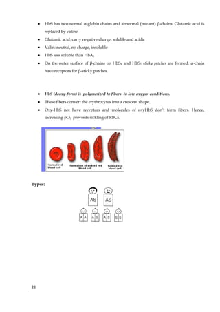 • HbS has two normal α-globin chains and abnormal (mutant) β-chains: Glutamic acid is
replaced by valine
• Glutamic acid: carry negative charge; soluble and acidic
• Valin: neutral, no charge, insoluble
• HbS less soluble than HbA1
• On the outer surface of β-chains on HbSR and HbST sticky patches are formed. α-chain
have receptors for β-sticky patches.
• HbS (deoxy-form) is polymerized to fibers in low oxygen conditions.
• These fibers convert the erythrocytes into a crescent shape.
• Oxy-HbS not have receptors and molecules of oxyHbS don’t form fibers. Hence,
increasing pO2 prevents sickling of RBCs.
Types:
28
 