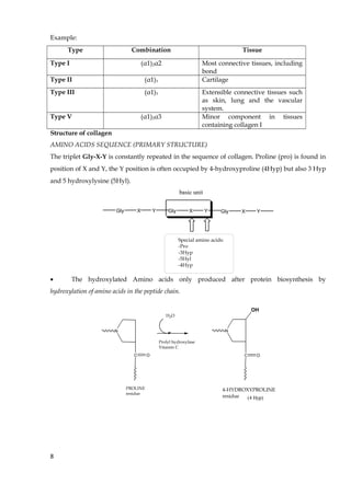 Example:
Type Combination Tissue
Type I (α1)2α2 Most connective tissues, including
bond
Type II (α1)3 Cartilage
Type III (α1)3 Extensible connective tissues such
as skin, lung and the vascular
system.
Type V (α1)2α3 Minor component in tissues
containing collagen I
Structure of collagen
AMINO ACIDS SEQUENCE (PRIMARY STRUCTURE)
The triplet Gly-X-Y is constantly repeated in the sequence of collagen. Proline (pro) is found in
position of X and Y, the Y position is often occupied by 4-hydroxyproline (4Hyp) but also 3 Hyp
and 5 hydroxylysine (5Hyl).
Gly X Y Gly X Y Gly X Y
basic unit
Special amino acids:
-Pro
-3Hyp
-5Hyl
-4Hyp
• The hydroxylated Amino acids only produced after protein biosynthesis by
hydroxylation of amino acids in the peptide chain.
N
C O
N
C O
OH
Prolyl hydroxylase
Vitamin C
H2O
PROLINE
residue
4-HYDROXYPROLINE
residue (4 Hyp)
8
 