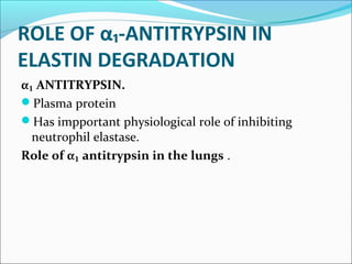 ROLE OF α₁-ANTITRYPSIN IN
ELASTIN DEGRADATION
α₁ ANTITRYPSIN.
Plasma protein
Has impportant physiological role of inhibiting
  neutrophil elastase.
Role of α₁ antitrypsin in the lungs .
 