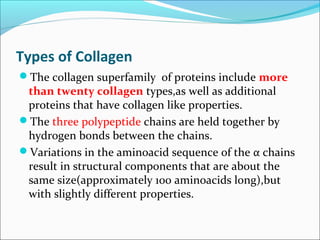 Types of Collagen
The collagen superfamily of proteins include more
 than twenty collagen types,as well as additional
 proteins that have collagen like properties.
The three polypeptide chains are held together by
 hydrogen bonds between the chains.
Variations in the aminoacid sequence of the α chains
 result in structural components that are about the
 same size(approximately 100 aminoacids long),but
 with slightly different properties.
 