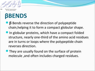 βBENDS
β Bends reverse the direction of polypeptide
 chain,helping it to form a compact globular shape.
In globular proteins, which have a compact folded
 structure, nearly one-third of the amino acid residues
 are in turns or loops where the polypeptide chain
 reverses direction.
They are usually found on the surface of protein
 molecule ,and often includes charged residues.
 