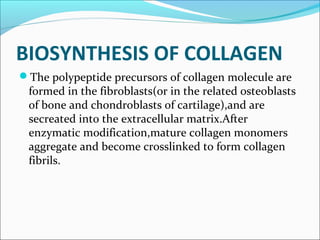 BIOSYNTHESIS OF COLLAGEN
The polypeptide precursors of collagen molecule are
 formed in the fibroblasts(or in the related osteoblasts
 of bone and chondroblasts of cartilage),and are
 secreated into the extracellular matrix.After
 enzymatic modification,mature collagen monomers
 aggregate and become crosslinked to form collagen
 fibrils.
 