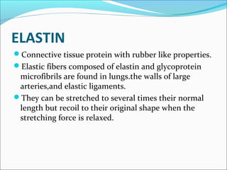 ELASTIN
Connective tissue protein with rubber like properties.
Elastic fibers composed of elastin and glycoprotein
 microfibrils are found in lungs.the walls of large
 arteries,and elastic ligaments.
They can be stretched to several times their normal
 length but recoil to their original shape when the
 stretching force is relaxed.
 