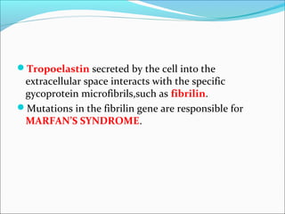 Tropoelastin secreted by the cell into the
 extracellular space interacts with the specific
 gycoprotein microfibrils,such as fibrilin.
Mutations in the fibrilin gene are responsible for
 MARFAN’S SYNDROME.
 