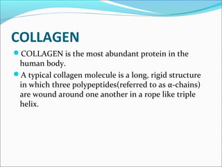 COLLAGEN
COLLAGEN is the most abundant protein in the
 human body.
A typical collagen molecule is a long, rigid structure
 in which three polypeptides(referred to as α-chains)
 are wound around one another in a rope like triple
 helix.
 