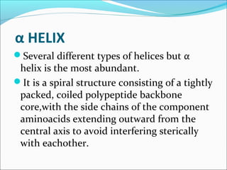 α HELIX
Several different types of helices but α
 helix is the most abundant.
It is a spiral structure consisting of a tightly
 packed, coiled polypeptide backbone
 core,with the side chains of the component
 aminoacids extending outward from the
 central axis to avoid interfering sterically
 with eachother.
 