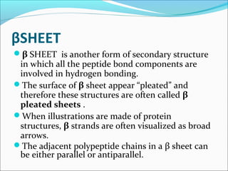 βSHEET
β SHEET is another form of secondary structure
 in which all the peptide bond components are
 involved in hydrogen bonding.
The surface of β sheet appear “pleated” and
 therefore these structures are often called β
 pleated sheets .
When illustrations are made of protein
 structures, β strands are often visualized as broad
 arrows.
The adjacent polypeptide chains in a β sheet can
 be either parallel or antiparallel.
 