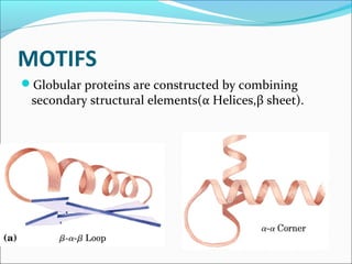 MOTIFS
Globular proteins are constructed by combining
 secondary structural elements(α Helices,β sheet).
 