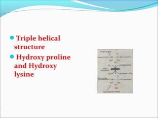 Triple helical
 structure
Hydroxy proline
 and Hydroxy
 lysine
 