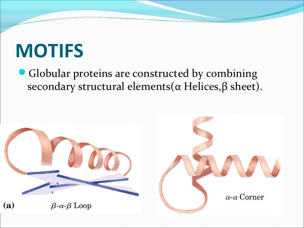 Fibrous proteins
