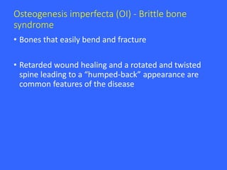 Osteogenesis imperfecta (OI) - Brittle bone
syndrome
• Bones that easily bend and fracture
• Retarded wound healing and a rotated and twisted
spine leading to a “humped-back” appearance are
common features of the disease
 