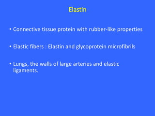 Elastin
• Connective tissue protein with rubber-like properties
• Elastic fibers : Elastin and glycoprotein microfibrils
• Lungs, the walls of large arteries and elastic
ligaments.
 