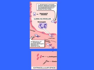 Fibrous proteins (biochem)