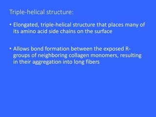 Triple-helical structure:
• Elongated, triple-helical structure that places many of
its amino acid side chains on the surface
• Allows bond formation between the exposed R-
groups of neighboring collagen monomers, resulting
in their aggregation into long fibers
 