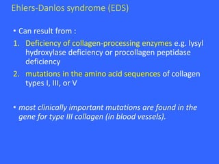 Ehlers-Danlos syndrome (EDS)
• Can result from :
1. Deficiency of collagen-processing enzymes e.g. lysyl
hydroxylase deficiency or procollagen peptidase
deficiency
2. mutations in the amino acid sequences of collagen
types I, III, or V
• most clinically important mutations are found in the
gene for type III collagen (in blood vessels).
 
