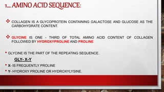 1… AMINO ACID SEQUENCE:
 COLLAGEN IS A GLYCOPROTEIN CONTAINING GALACTOSE AND GLUCOSE AS THE
CARBOHYDRATE CONTENT.
 GLYCINE IS ONE - THIRD OF TOTAL AMINO ACID CONTENT OF COLLAGEN
FOLLOWED BY HYDROXYPROLINE AND PROLINE
• GLYCINE IS THE PART OF THE REPEATING SEQUENCE.
GLY- X-Y
• X- IS FREQUENTLY PROLINE
• Y- HYDROXY PROLINE OR HYDROXYLYSINE.
 