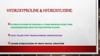 HYDROXYPROLINE & HYDROXYLYSINE:
HYDROXYLATION OF PROLINE & LYSINE RESIDUES AFTER THEIR
INCORPORATION INTO THE POLYPEPTIDE CHAINS.
THUS CALLED POST TRANSLATIONAL MODIFICATION.
CAUSES STABILIZATION OF TRIPLE HELICAL STRUCTURE.
 