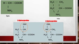 14
Proline
3-Hydroxyproline 4-Hydroxyproline
Glycine
 