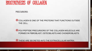BIOSYNTHESIS OF COLLAGEN
PRECURSORS:
COLLAGEN IS ONE OF THE PROTEINS THAT FUNCTIONS OUTSIDE
THE CELL.
POLYPEPTIDE PRECURSORS OF THE COLLAGEN MOLECULE ARE
FORMED IN FIBROBLAST, OSTEOBLASTS AND CHONDROBLASTS.
THESE ARE SECRETED INTO THE EXTRACELLULAR MATRIX.
 
