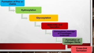 Formation of Pro- α-
chains
Hydroxylation
Glycosylation
Assembly and
Secretion
Extracellular cleavage
of Procollagen
molecules
Formation of
collagen fibrils
Cross-link
formation
 