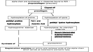 21
Glucosyl & Galactosyl added
by glycosyl transfarase &
galactosyl transfarase.
 