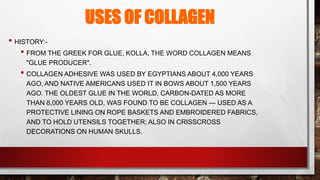 USES OF COLLAGEN
• HISTORY:-
• FROM THE GREEK FOR GLUE, KOLLA, THE WORD COLLAGEN MEANS
"GLUE PRODUCER".
• COLLAGEN ADHESIVE WAS USED BY EGYPTIANS ABOUT 4,000 YEARS
AGO, AND NATIVE AMERICANS USED IT IN BOWS ABOUT 1,500 YEARS
AGO. THE OLDEST GLUE IN THE WORLD, CARBON-DATED AS MORE
THAN 8,000 YEARS OLD, WAS FOUND TO BE COLLAGEN — USED AS A
PROTECTIVE LINING ON ROPE BASKETS AND EMBROIDERED FABRICS,
AND TO HOLD UTENSILS TOGETHER; ALSO IN CRISSCROSS
DECORATIONS ON HUMAN SKULLS.
 