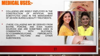 MEDICAL USES:-
• COLLAGENS ARE WIDELY EMPLOYED IN THE
CONSTRUCTION OF ARTIFICIAL SKIN
SUBSTITUTES USED IN THE MANAGEMENT
OF SEVERE BURNS & BEAUTY TREATMENTS.
• (THESE COLLAGENS MAY BE DERIVED FROM
BOVINE, PORCINE, AND EVEN HUMAN
SOURCES AND ARE SOMETIMES USED IN
COMBINATION WITH SILICONES,
GLYCOSAMINOGLYCANS, FIBROBLASTS,
GROWTH FACTORS AND OTHER
SUBSTANCES)
27
 