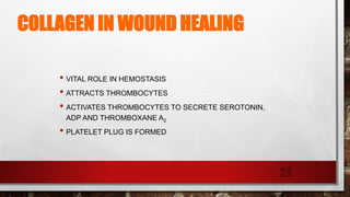 COLLAGEN IN WOUND HEALING
• VITAL ROLE IN HEMOSTASIS
• ATTRACTS THROMBOCYTES
• ACTIVATES THROMBOCYTES TO SECRETE SEROTONIN,
ADP AND THROMBOXANE A2
• PLATELET PLUG IS FORMED
29
 