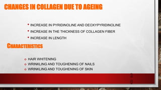 CHANGES IN COLLAGEN DUE TO AGEING
• INCREASE IN PYRIDINOLINE AND DEOXYPYRIDINOLINE
• INCREASE IN THE THICKNESS OF COLLAGEN FIBER
• INCREASE IN LENGTH
3
0
CHARACTERISTICS
 HAIR WHITENING
 WRINKLING AND TOUGHENING OF NAILS
 WRINKLING AND TOUGHENING OF SKIN
 