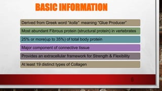 BASIC INFORMATION
Derived from Greek word “kolla” meaning “Glue Producer”
Most abundant Fibrous protein (structural protein) in vertebrates
25% or more(up to 35%) of total body protein
Major component of connective tissue
Provides an extracellular framework for Strength & Flexibility
At least 19 distinct types of Collagen
6
 