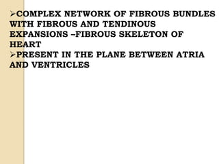 Fibrous skeleton & conducting system 2020 | PPTX