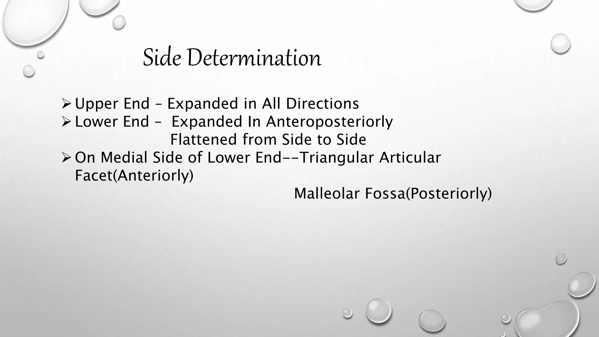 Side Determination
Upper End – Expanded in All Directions
Lower End – Expanded In Anteroposteriorly
Flattened from Side to Side
On Medial Side of Lower End--Triangular Articular
Facet(Anteriorly)
Malleolar Fossa(Posteriorly)
 