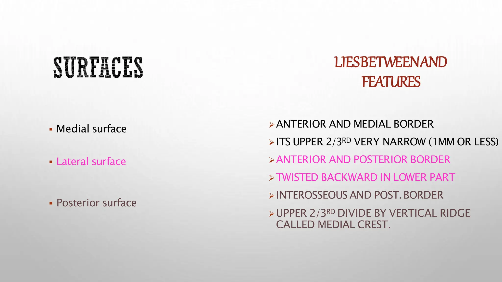  Medial surface
 Lateral surface
 Posterior surface
LIESBETWEENAND
FEATURES
ANTERIOR AND MEDIAL BORDER
ITS UPPER 2/3RD VERY NARROW (1MM OR LESS)
ANTERIOR AND POSTERIOR BORDER
TWISTED BACKWARD IN LOWER PART
INTEROSSEOUS AND POST.BORDER
UPPER 2/3RD DIVIDE BY VERTICAL RIDGE
CALLED MEDIAL CREST.
 