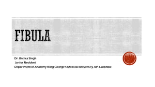 Dr. Untika Singh
Junior Resident
Department of Anatomy King George’s Medical University, UP, Lucknow
 