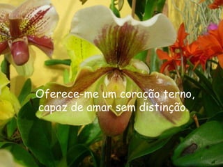 Oferece-me um coração terno, capaz de amar sem distinção.  