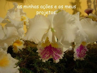 as minhas ações e os meus projetos. 