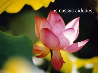as nossas cidades, 