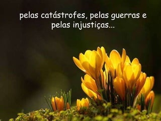 pelas catástrofes, pelas guerras e pelas injustiças... 