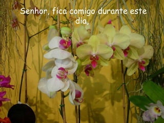 Senhor, fica comigo durante este dia,  