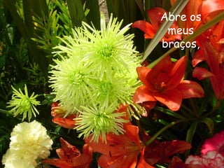 Abre os
meus
braços,
 