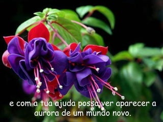 e com a tua ajuda possa ver aparecer a aurora de um mundo novo. 