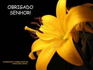 OBRIGADO SENHOR! ELABORAÇÃO E FORMATAÇÃO DE; António Elísio Portela 
