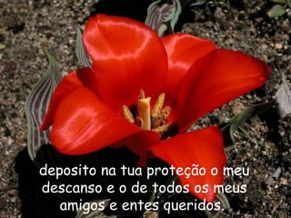 deposito na tua proteção o meu
descanso e o de todos os meus
amigos e entes queridos.
 
