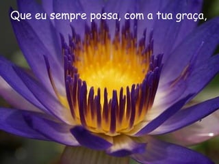 Que eu sempre possa, com a tua graça,
 