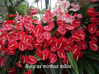 Guia as minhas mãos
 